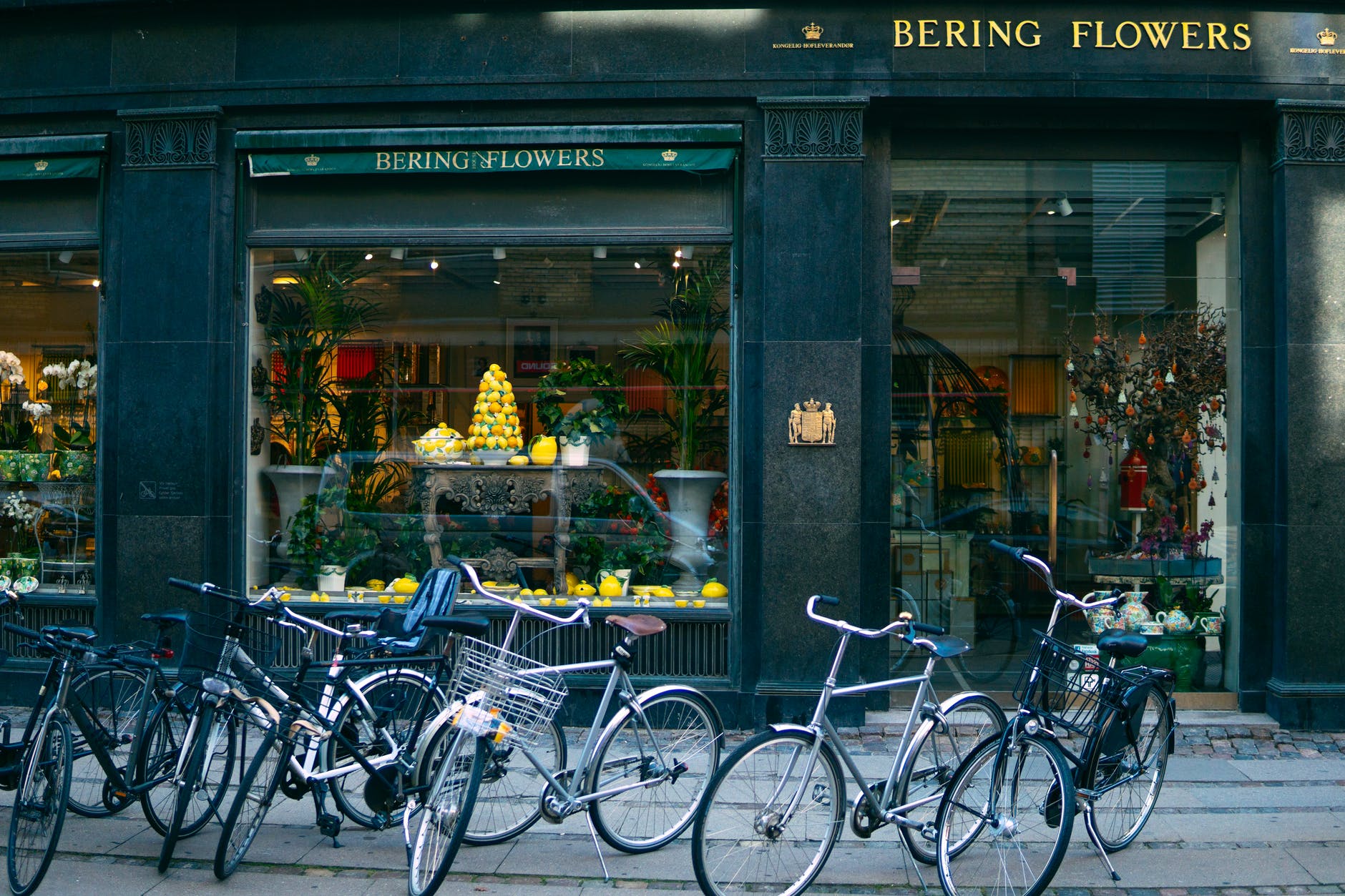 Can Amazon thrive in Denmark? – Rebel Economics